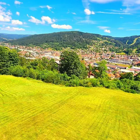 - Terrasse - Calme - Nature - Belle Vue Et Garage Apartment Gerardmer