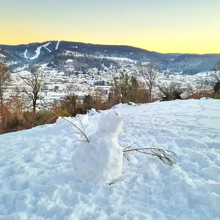 Belle Vue Et Calme Et Promotion Materiel Apartment Gerardmer