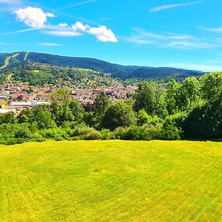 Belle Vue Et Calme Et Promotion Materiel Gerardmer
