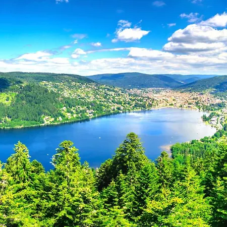 Apartment - Terrasse - Calme - Nature - Belle Vue Et Garage Gerardmer