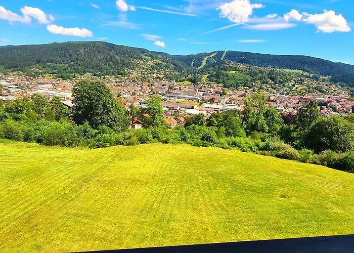 Apartment - Terrasse - Calme - Nature - Belle Vue Et Garage Gerardmer